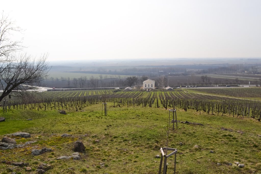 Tokaj Wine Region Itinerary, Hungary 