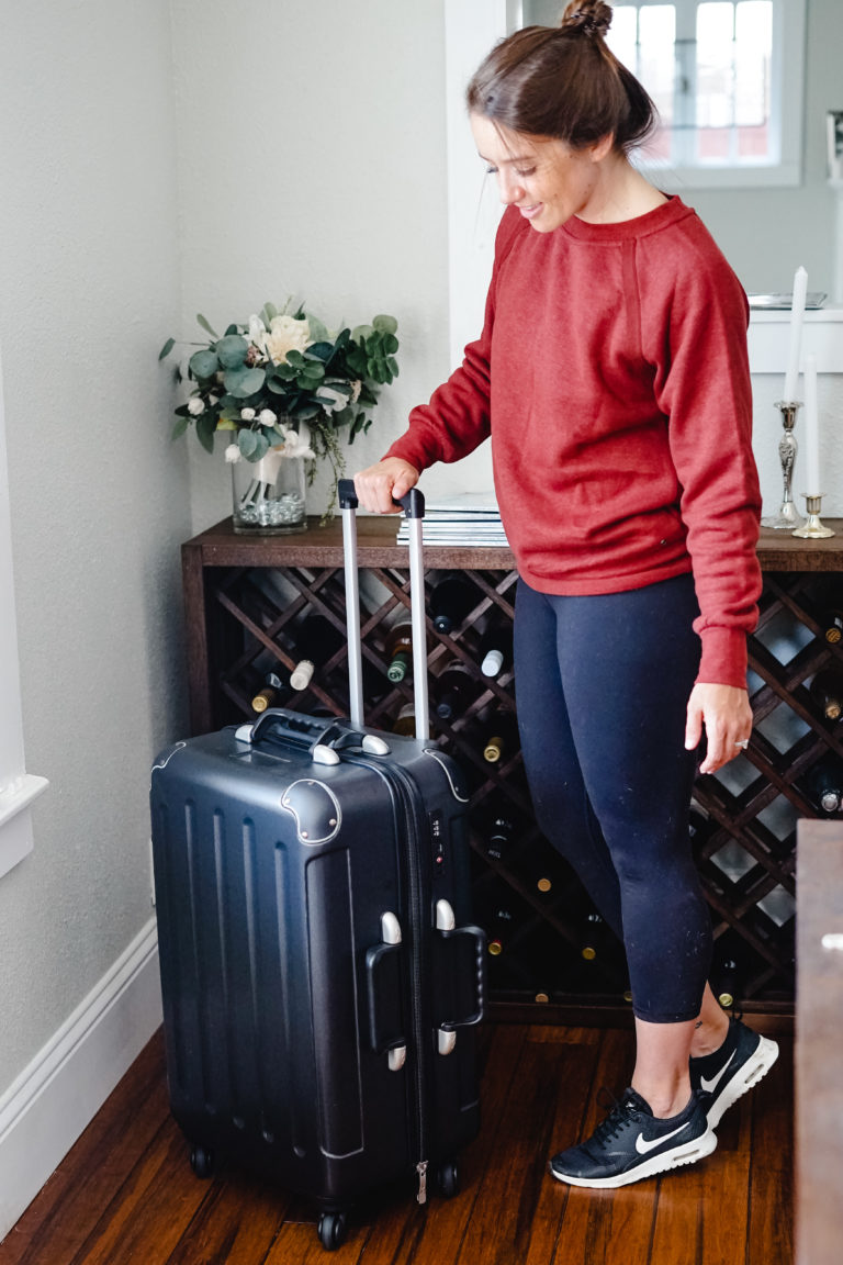 Traveling with Wine: VinGardeValise