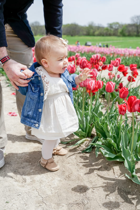 Visiting the Tulip Fields at Poston Gardens, near Dallas TX