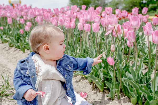Visiting the Tulip Fields at Poston Gardens, near Dallas TX