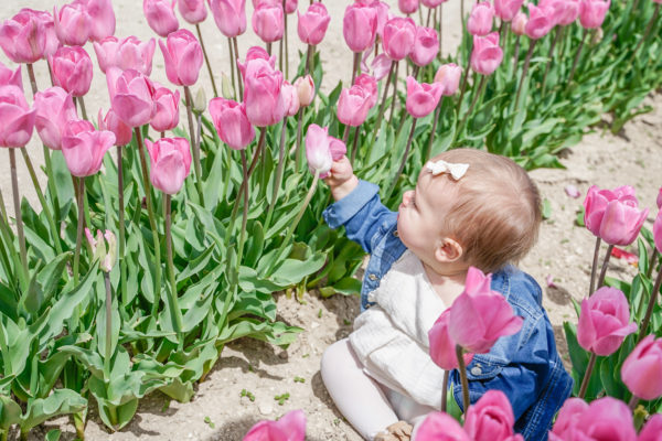 Visiting the Tulip Fields at Poston Gardens, near Dallas TX