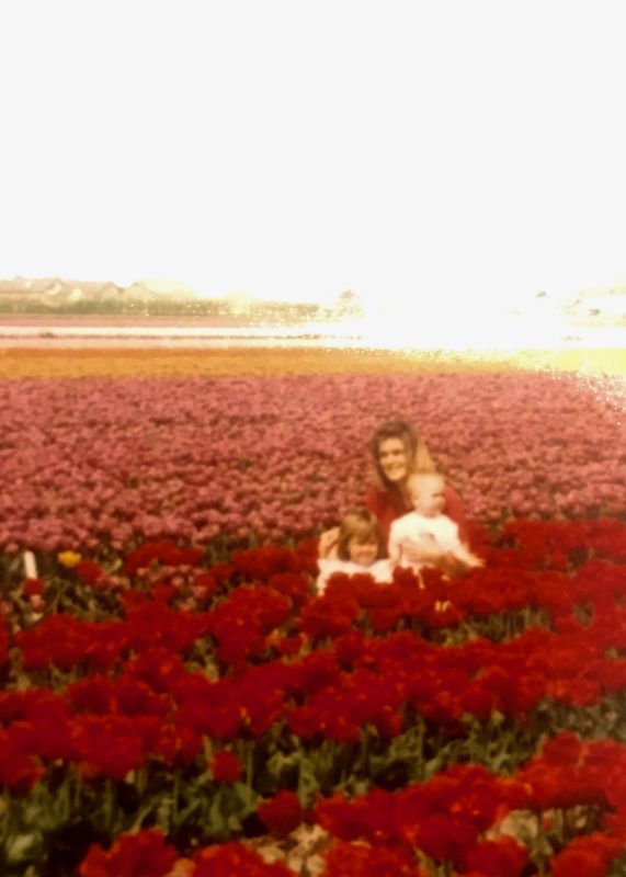 Tulip Fields of Keukenhof, South Holland