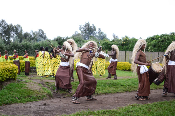 Gorilla Trekking in Volcanoes National Park, Rwanda