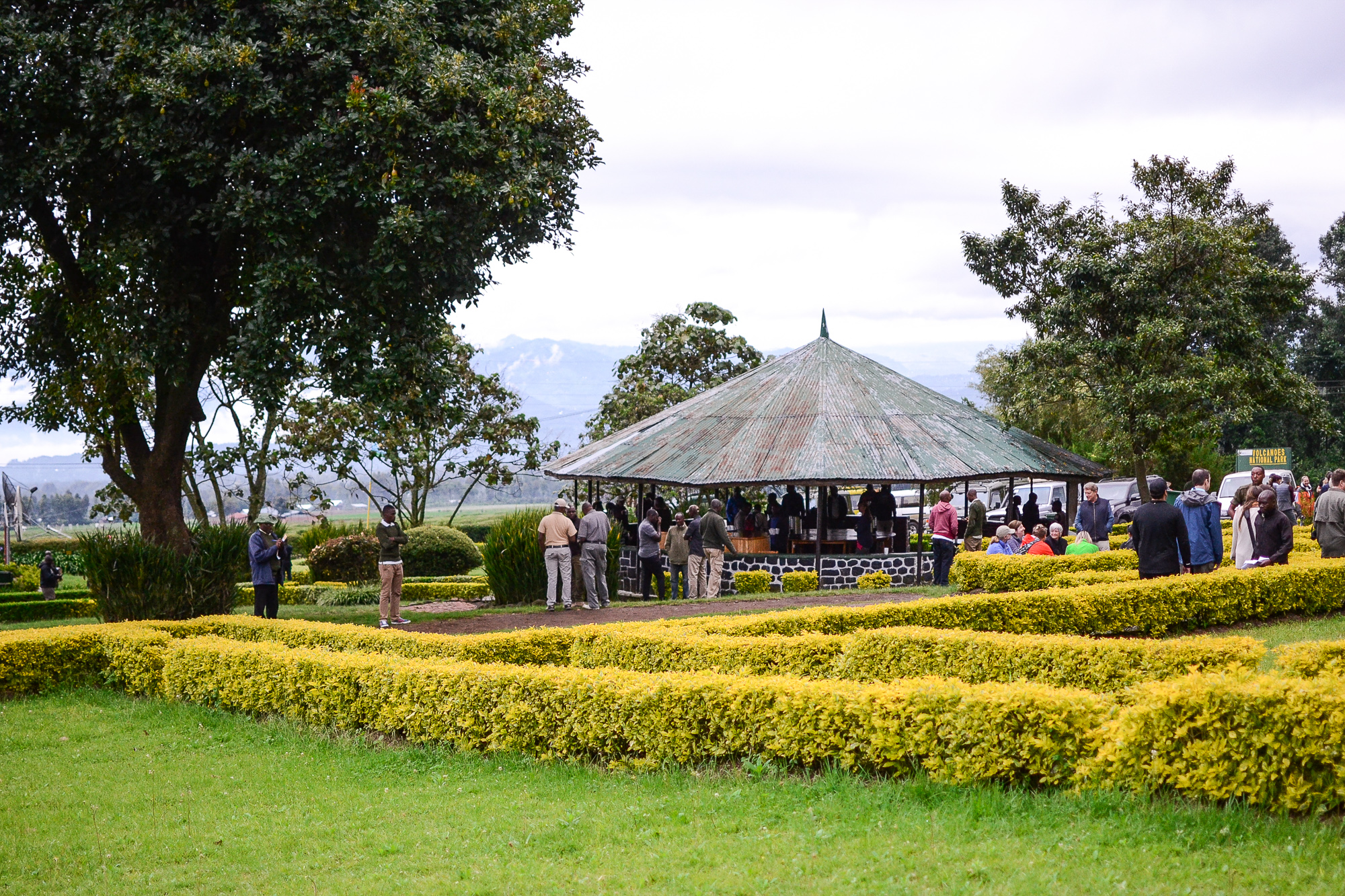 Gorilla Trekking in Volcanoes National Park, Rwanda