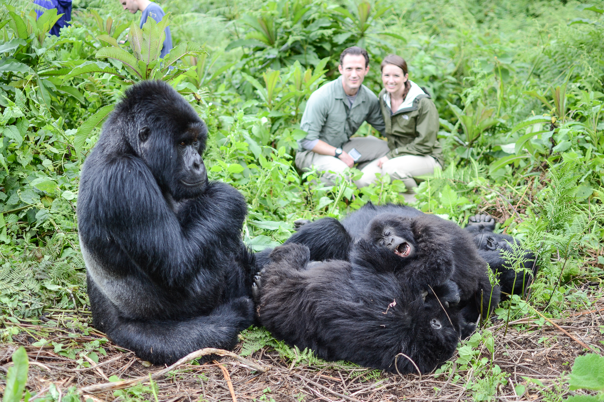 Gorilla Trekking in Volcanoes National Park, Rwanda