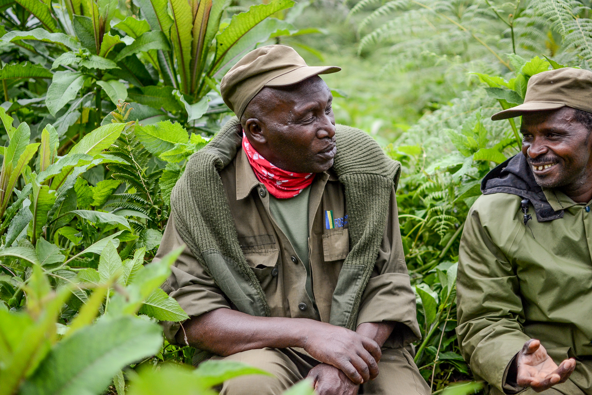 Gorilla Trekking in Volcanoes National Park, Rwanda