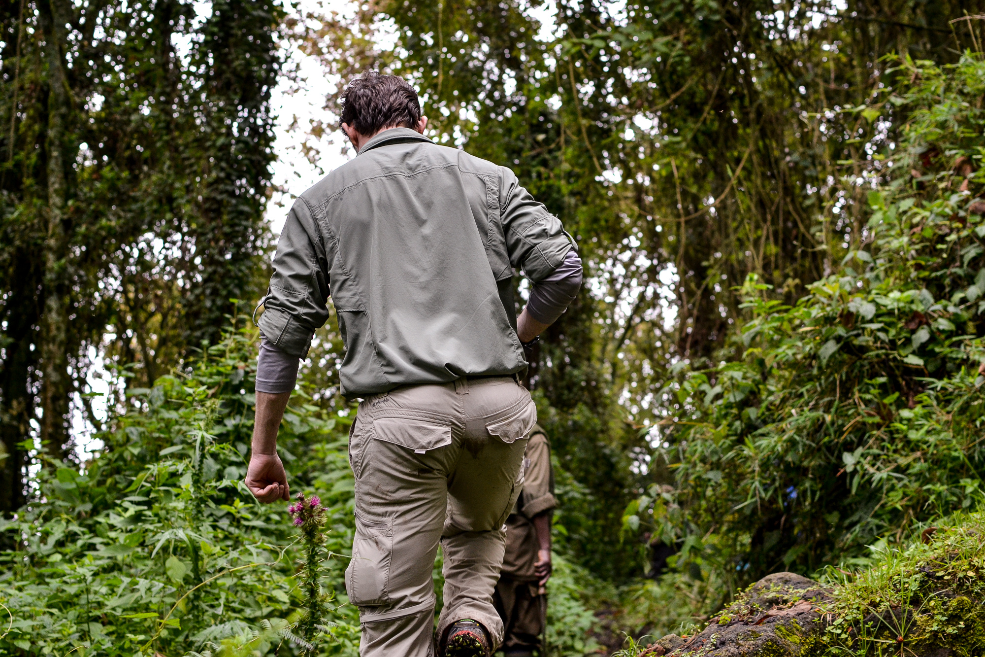 Gorilla Trekking in Volcanoes National Park, Rwanda