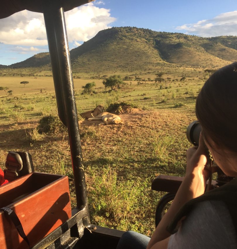 Saving on a Dream Safari in Africa