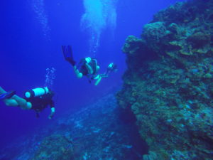 Aldora Divers