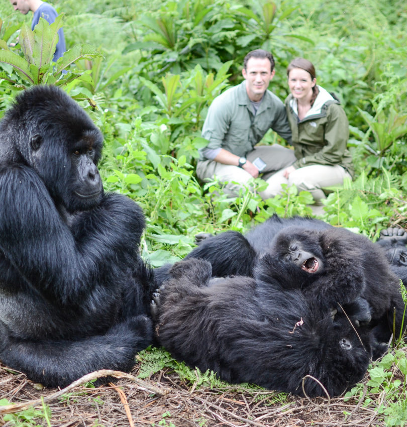 Gorilla Trekking in Rwanda